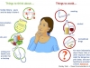 pregnancy-planning