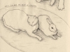 exquisitecorpsesketchboo004